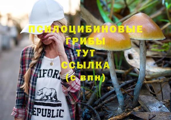 прущие крисы Алзамай