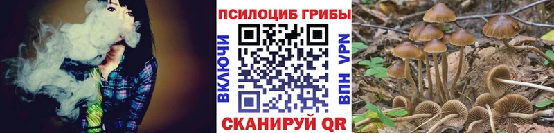 Галлюциногенные грибы мицелий  Дудинка 